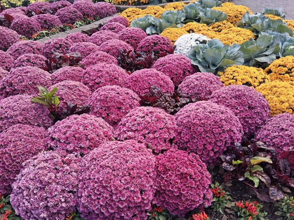 Découvrez comment sublimer vos murs grâce à hexoa décorations