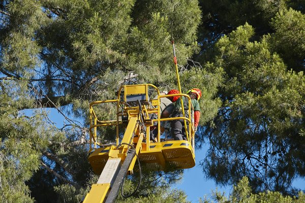 Treuil forestier : les critères à prendre en compte avant de choisir